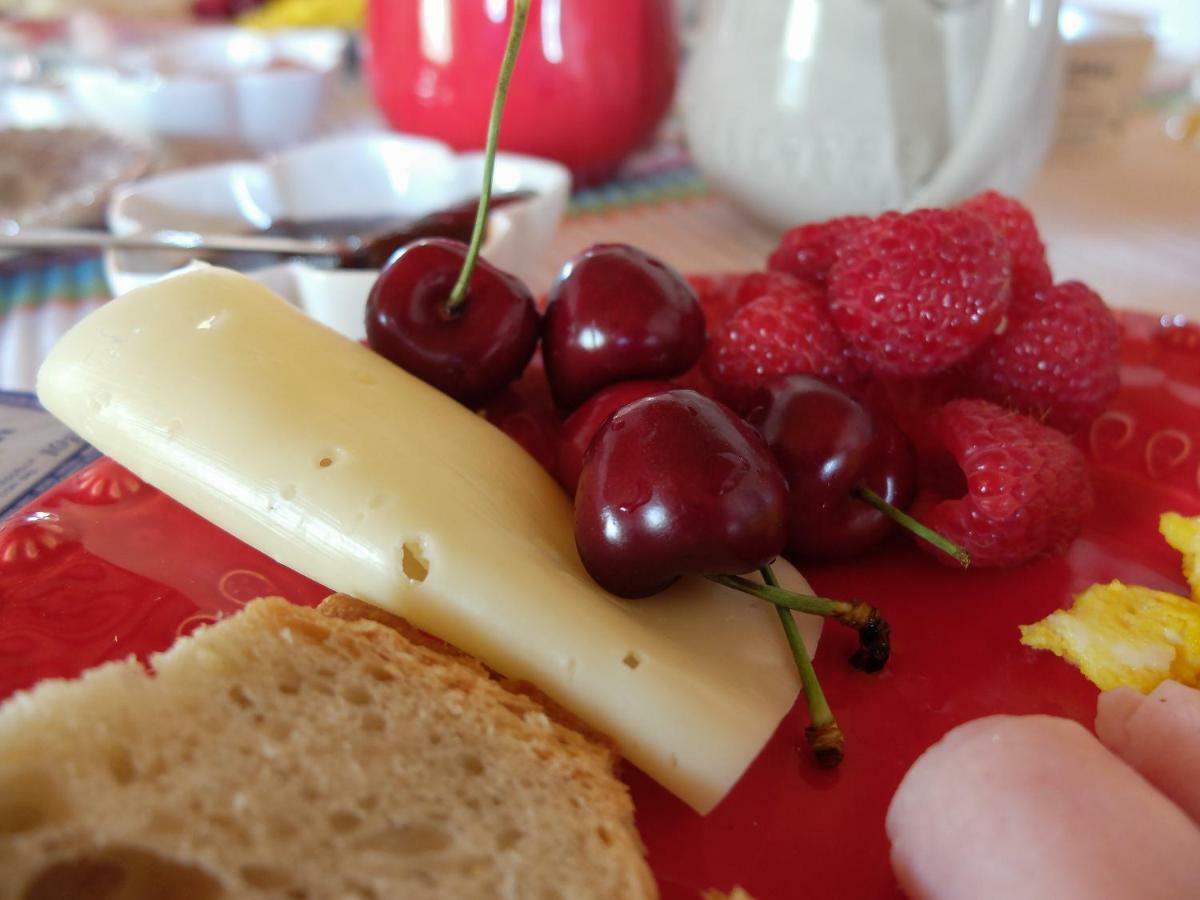 Bicos Vales Do Alentejo 게스트하우스 외부 사진